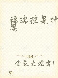 福瑞控是什么意思
