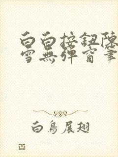 白白按钮陈飞姜雪无弹窗笔趣阁封面