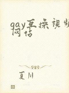gay互操视频网站
