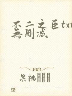 不二之臣txt无删减
