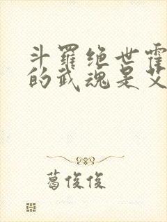 斗罗绝世霍雨浩的武魂是艾露猫笔趣阁