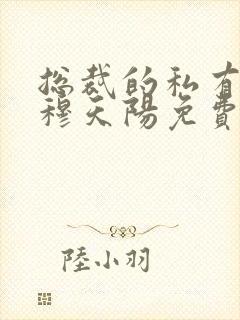 总裁的私有宝贝穆天阳免费