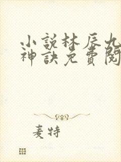 小说林辰九天斩神诀免费阅读