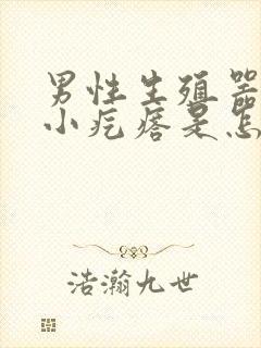 男性生殖器根部小疙瘩是怎么回事