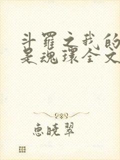 斗罗之我的武魂是魂环全文