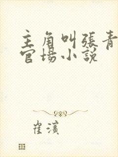 主角叫张青云的官场小说