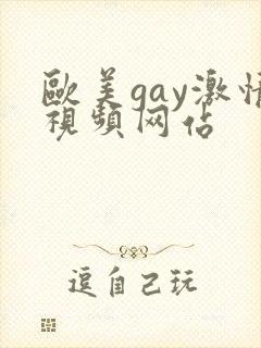 欧美gay激情视频网站