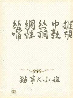 丝绸丝巾捆绑塞嘴性调教视频