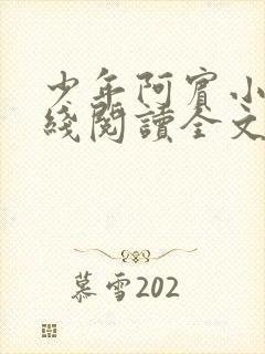 少年阿宾小说在线阅读全文无删减