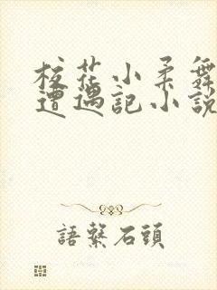 校花小柔舞蹈室遭遇记小说封面