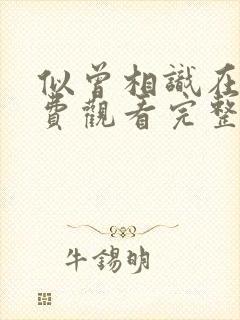 似曾相识在线免费观看完整版国语