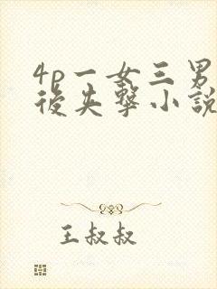 4p一女三男前后夹击小说封面