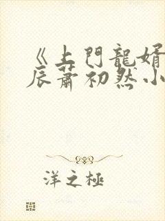 《上门龙婿》叶辰萧初然小说