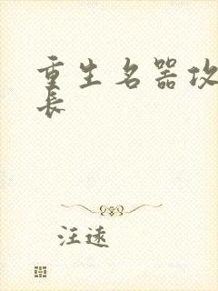 重生名器攻略兄长