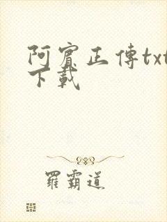 阿宾正传txt下载