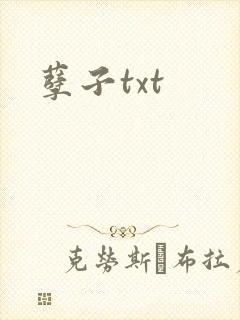 孽子txt