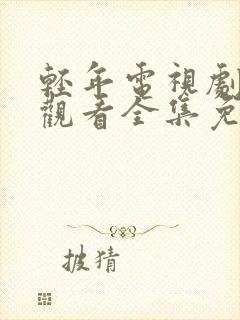 轻年电视剧在线观看全集免费高清封面