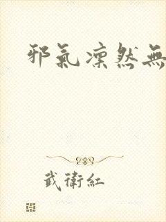 邪气凛然无弹窗