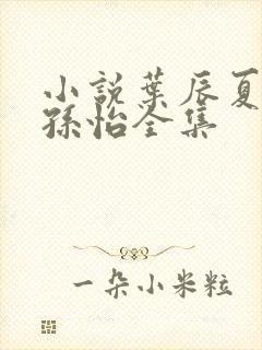 小说叶辰夏若雪孙怡全集封面