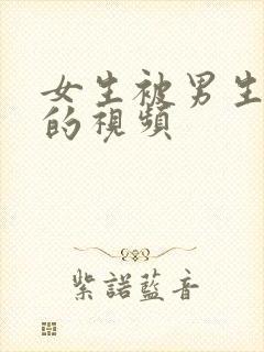 女生被男生操爽的视频