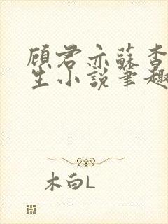 顾君亦苏杳国防生小说笔趣阁免费