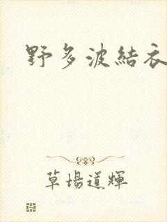 野多波结衣