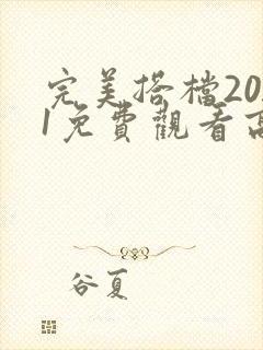 完美搭档2011免费观看高清