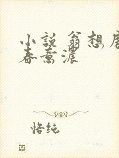 小说 翁想房中春意浓