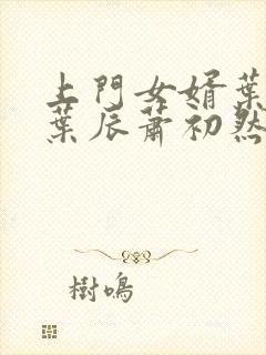 上门女婿叶辰 叶辰萧初然531