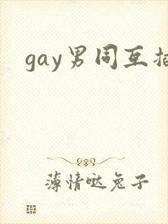 gay男同互插