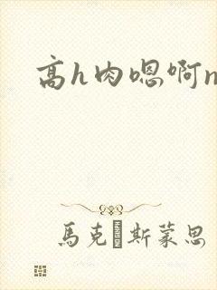 高h肉嗯啊np