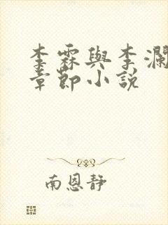 李霖与李澜最新章节小说