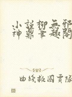 小说柳无邪吞天神鼎笔趣阁
