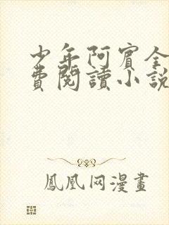 少年阿宾全文免费阅读小说封面