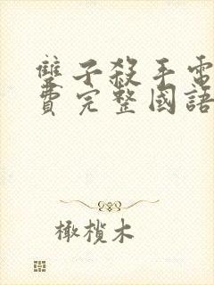 双子杀手电影免费完整国语版