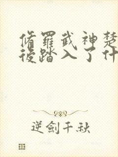 修罗武神楚枫最后踏入了什么境界