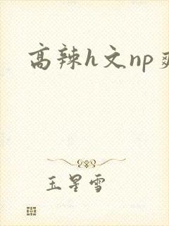 高辣h文np爽