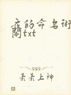 夜的命名术笔趣阁txt