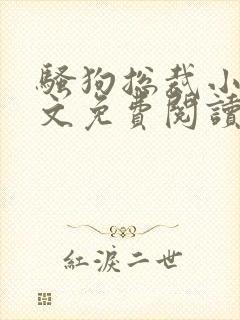 骚狗总裁小说全文免费阅读最新章节封面