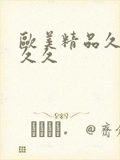 欧美精品久久久久久