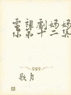 电视剧妈妈在等你第十二集