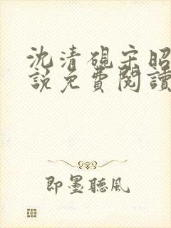 沈清砚宋昭汐小说免费阅读最新章节