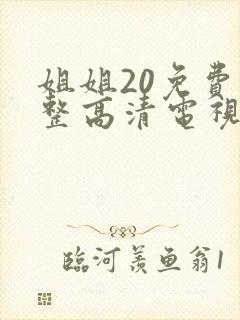 姐姐20免费完整高清电视剧在线看封面