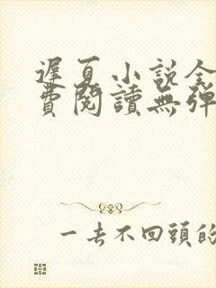 迟夏小说全文免费阅读无弹窗封面