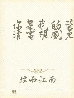 你是我的荣耀高清电视剧免费观看封面