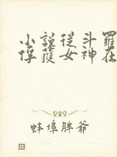 小说从斗罗开始俘获女神在线阅读全文