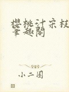 樱桃汁宋枝江野笔趣阁