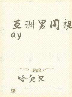 亚洲男同视频gay封面