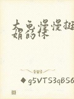 大龟慢慢挺进张娟的休