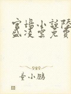 官场小说陆羽与盛凌云免费阅读封面